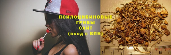 таблы Мегион
