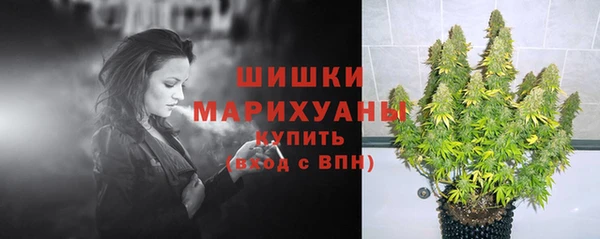твердый Медногорск