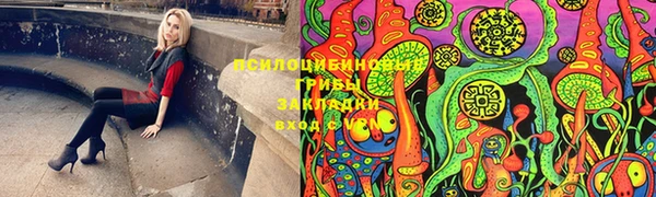 амф Медвежьегорск