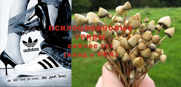амф Медвежьегорск