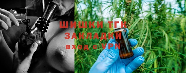 твердый Медногорск